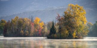 Ile kosztuje położenie gresu 60x60?