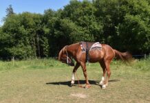 Na co montować listwy tynkarskie?