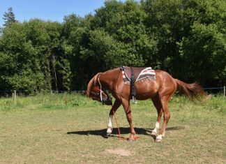 Na co montować listwy tynkarskie?