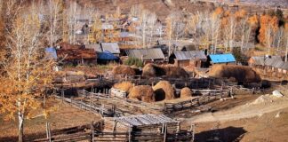 Do czego służy wpust pryzmatyczny?