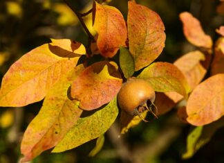 Jak załatać dziurę w meblach?