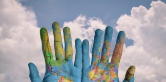 Czy ziemia z Lidla jest dobra?