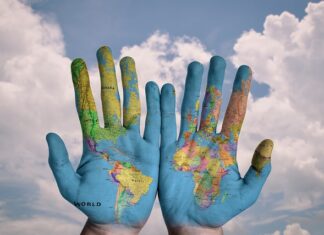 Czy ziemia z Lidla jest dobra?