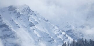 Jakie usterki nie przejdą przeglądu?