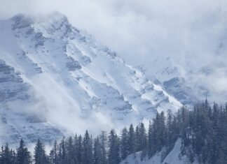 Jakie usterki nie przejdą przeglądu? Jakie usterki nie przejdą przeglądu?