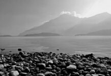 Ile kosztuje Trzonek do siekiery? Ile kosztuje Trzonek do siekiery?
