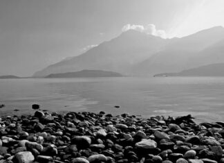 Ile kosztuje Trzonek do siekiery?