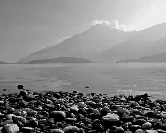 Ile kosztuje Trzonek do siekiery?