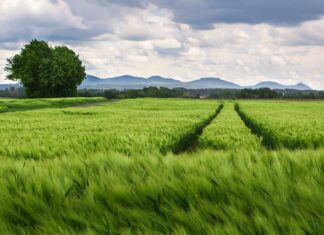 Co oznacza rozstaw śrub 5×112? Co oznacza rozstaw śrub 5x112?