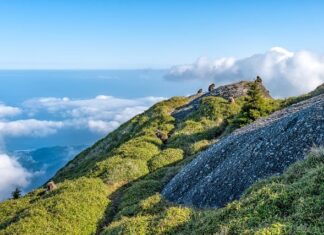 Jaka jest różnica między wyłącznikiem schodowym a zwykłym?