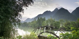 Jaka jest cena za położenie tapety?