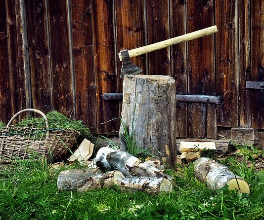 Jaka siekiera do ścinania drzew?