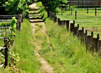 Co zrobić gdy paruje lampa w samochodzie? Co zrobić gdy paruje lampa w samochodzie?