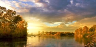 Czy koło może samo się odkręcić?