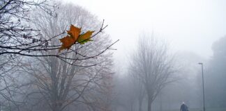 Co zrobić gdy zgubiłem tablicę rejestracyjną?