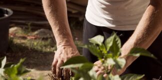 Czy uziemienie jest potrzebne?