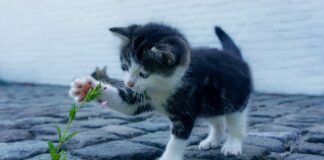 Czy ogrzewanie klimatyzacja jest drogie?