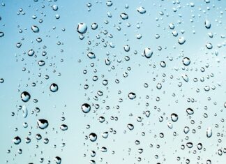 Czy przykrywać mokre drewno?