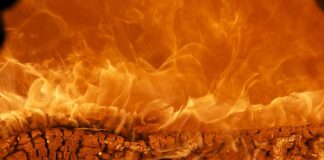 Jak się kładzie tapety papierowe?