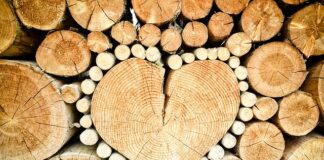 Ile drewna na 1 tonę węgla?