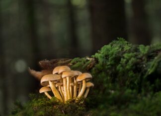 Czy warto dawać listwy przyokienne? Czy warto dawać listwy przyokienne?