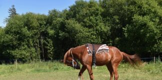 Kiedy najlepiej montować klimatyzację?