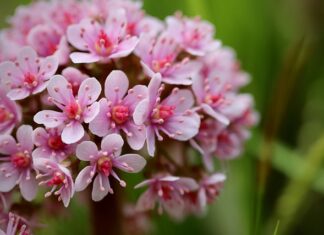Jaka średnica otworu tarczy szlifierki kątowej?