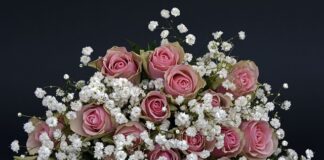 Jaki węgiel do kwiatów doniczkowych?