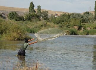 Jak zatopić siatkę na styropianie?