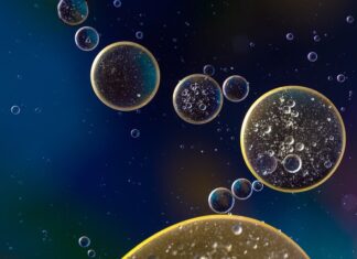 Jakie zawieszenie ma Laguna 3?