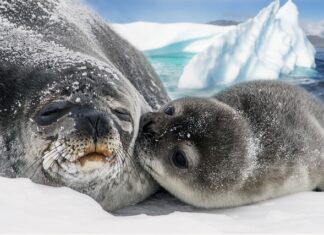 Ile kosztuje uszczelnienie lampy samochodowej? Ile kosztuje uszczelnienie lampy samochodowej?