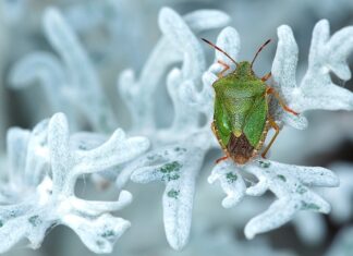 Jak zlikwidować smród z klimatyzacji? Jak zlikwidować smród z klimatyzacji?
