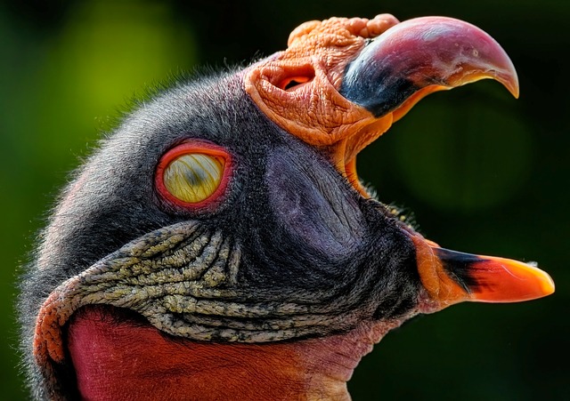 Co oznacza migający klucz? Co oznacza migający klucz?