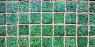 Ile wody do kleju do płytek?