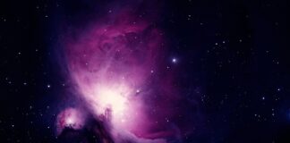 Czy można mieć czarne kierunkowskazy?