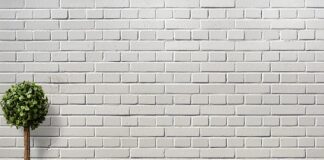 Po czym poznać że doniczka jest za mała?