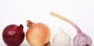 Czy czosnek działa na ziemiórki?