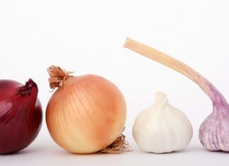 Czy czosnek działa na ziemiórki?