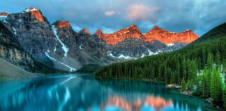 Jak się nazywa kamień do ostrzenia noży?