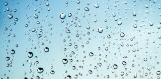 Czy mokre drewno strzela?