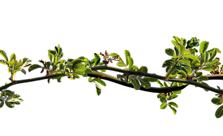 Czy zatkany DPF zwiększa zużycie paliwa? Czy zatkany DPF zwiększa zużycie paliwa?