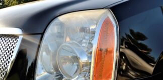 Jak często zraszać rośliny?