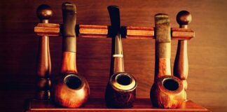 Czy można palić świeża brzoza?