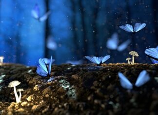 Jak zahartować drewno?