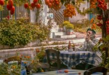 Ile pali renault laguna 2?