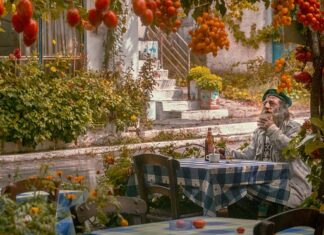 Ile pali renault laguna 2?