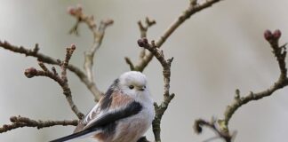 Kiedy można jechać na długich światłach?