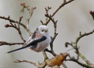Kiedy można jechać na długich światłach?