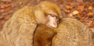 Jak ekonomicznie grzać klimatyzacja?