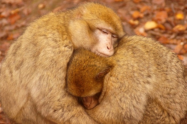 Jak ekonomicznie grzać klimatyzacja? Jak ekonomicznie grzać klimatyzacja?